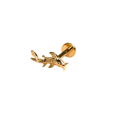 Labret din titan cu peștele koi