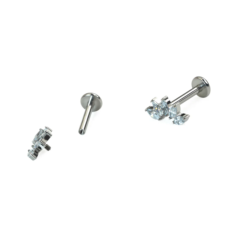 Labret curbat din titan cu 5 pietre